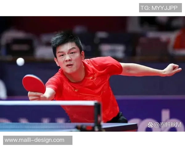 上海乒乓球队的节奏与风采探秘乒乓球运动的魅力与发展之路